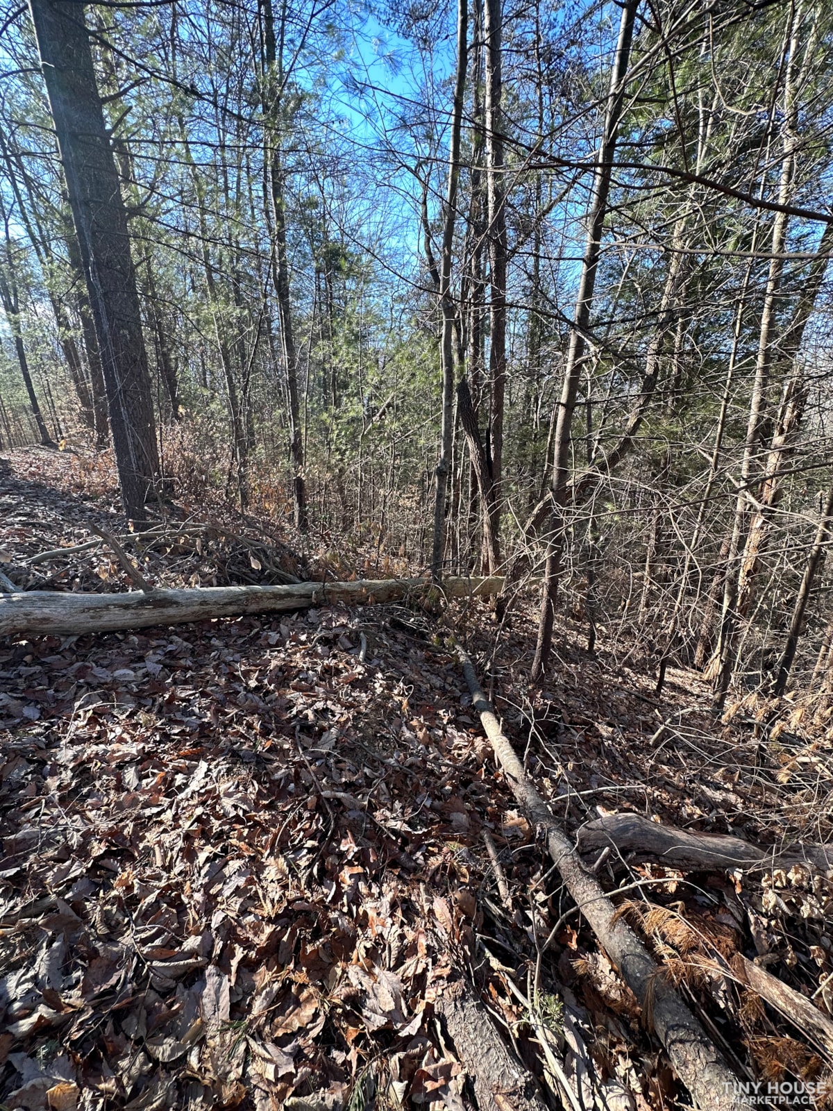 RED RIVER GORGE - Image 1 Thumbnail