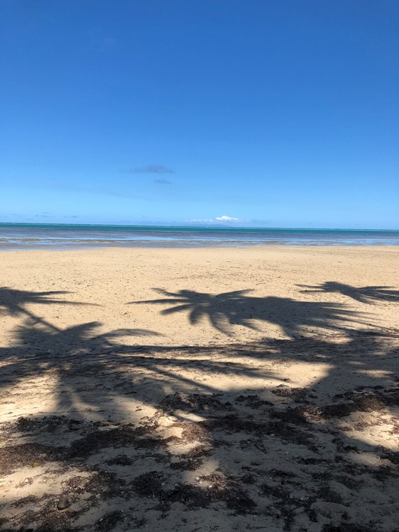 Tiny Home - Brand New - Fiji or Anywhere - Image 4 Thumbnail