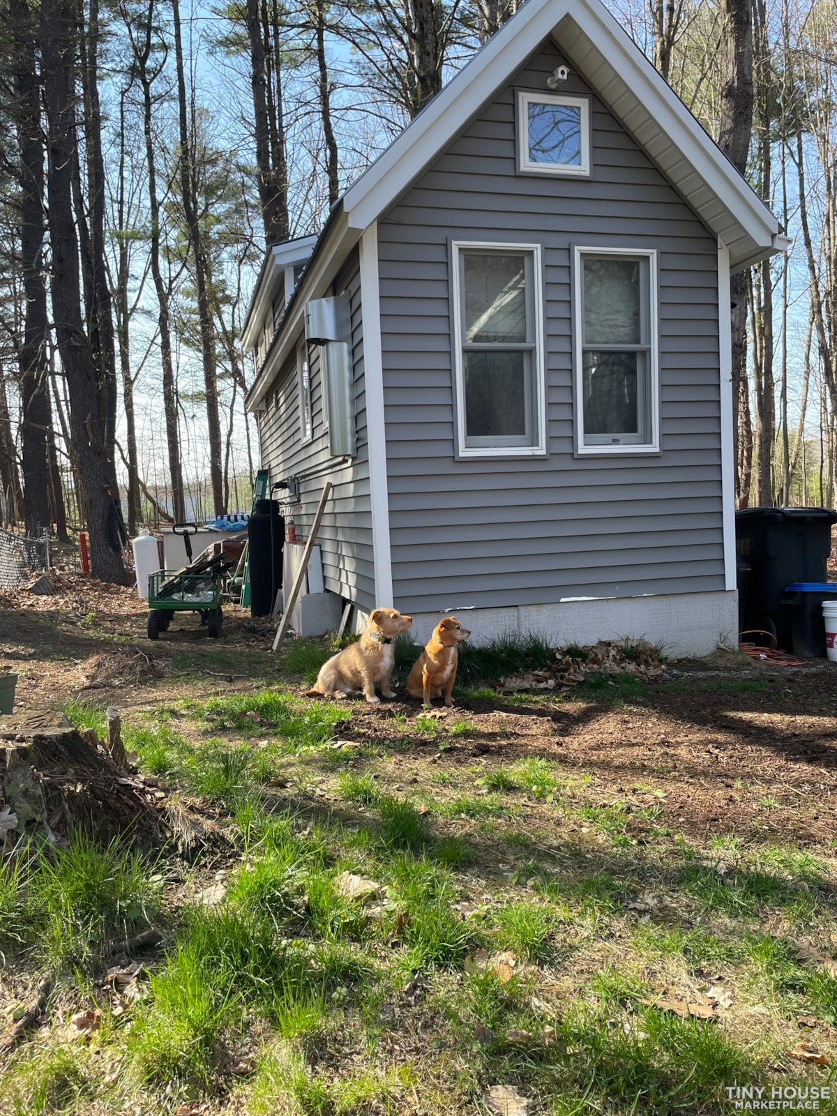 Tiny house on wheels - keep it where it is! - Image 3 Thumbnail