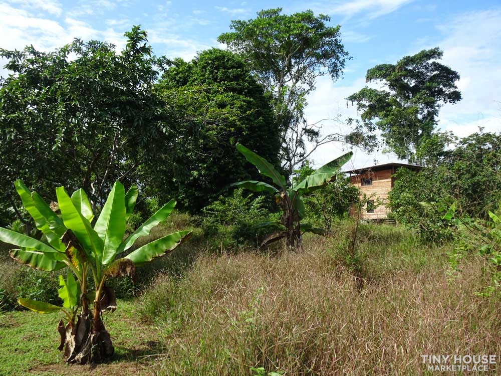 TINY HOUSE WITH 1 HECTAR ORGANIC FARMLAND - Image 2 Thumbnail