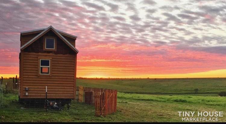Tiny Wood Cabin on Wheels (SALE PENDING)