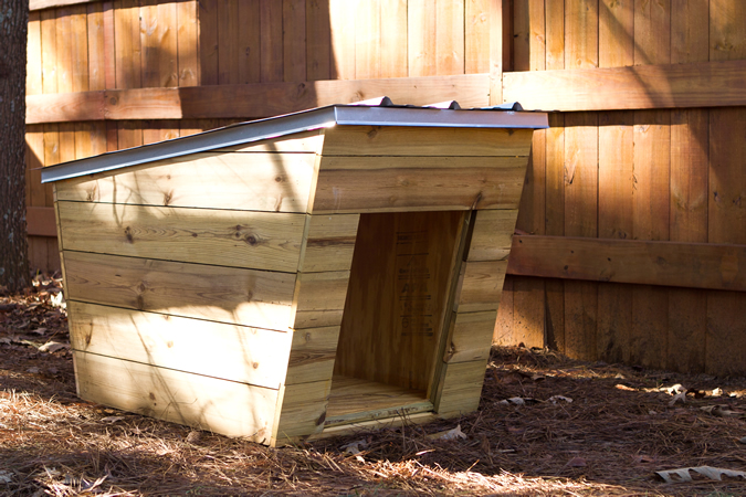 ModernDog Dog  House  Tiny Home Builders